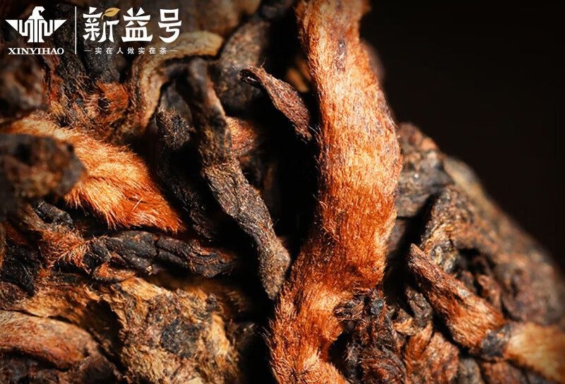 宮廷金芽特寫,金毫顯露